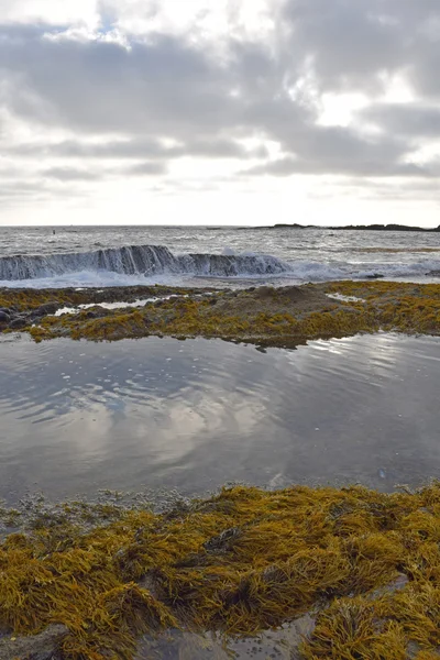 Laguna gelgit havuzları