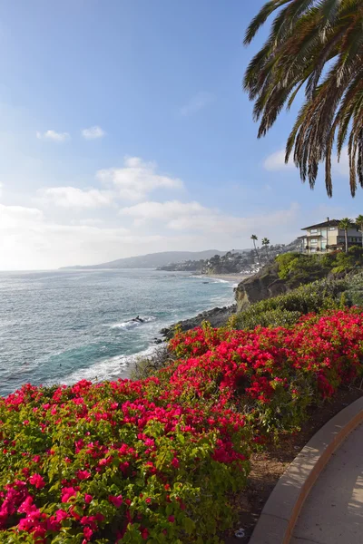 Laguna Beach Coastline & Giardini — Foto Stock