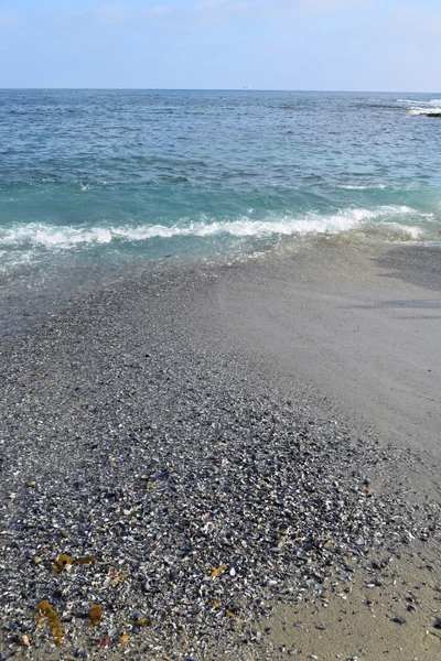 Zeeschelpen in laguna beach — Stockfoto