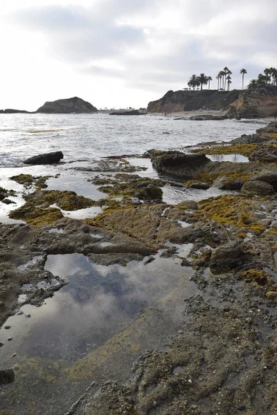Laguna gelgit havuzları