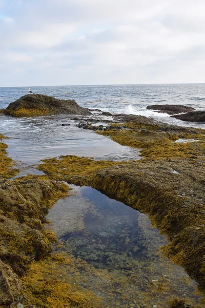 Laguna gelgit havuzları