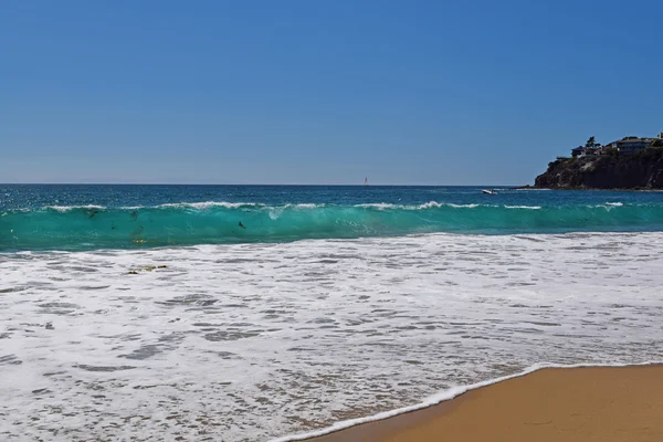 Laguna Beach dalgalar