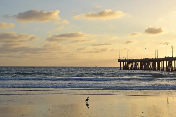 Coucher de soleil à Venice Beach — Photo