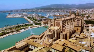 Ormanın derinliklerinde küçük bir su akıntısı. Su akıntısı ve orman geçmişi. Rahatlama.