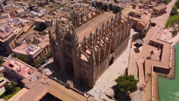 Kathedrale Basilika Mallorca Video von einer Drohne 4K — Stockvideo