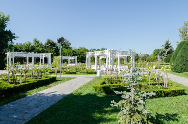 Хороший газированный напиток и скамейка, выкрашенная в белый цвет
