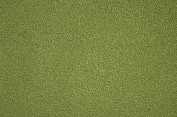 Texture in pelle verde — Foto Stock