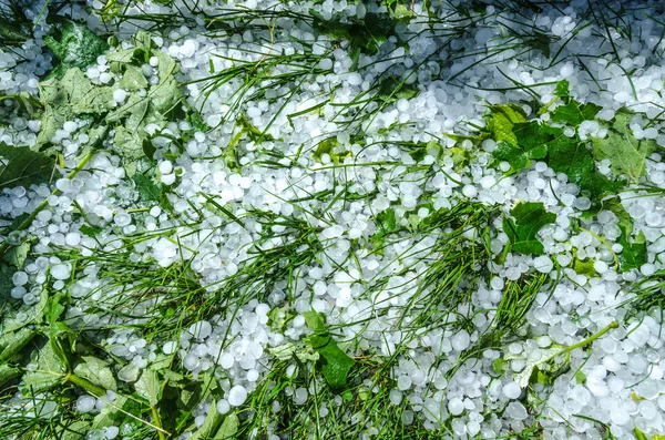 Hail ice balls in grass after a heavy rain — Stock Photo, Image