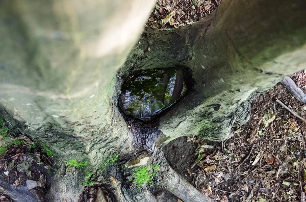 Acqua piovana raccolta in un cavo — Foto Stock