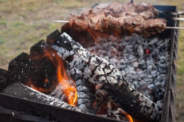et dilimleri ile duman (Şaşlık yangın hazırlamak)