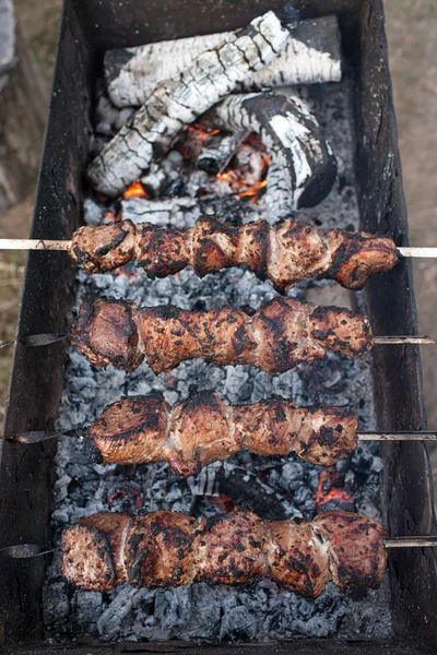 Tranches de viande préparent sur le feu avec de la fumée (shashlik ) — Photo