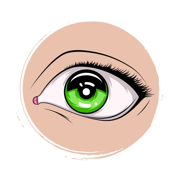 Conjunto de ojos femeninos. Ilustración vectorial para el diseño de glamour de salud. Icono del ojo — Archivo Imágenes Vectoriales