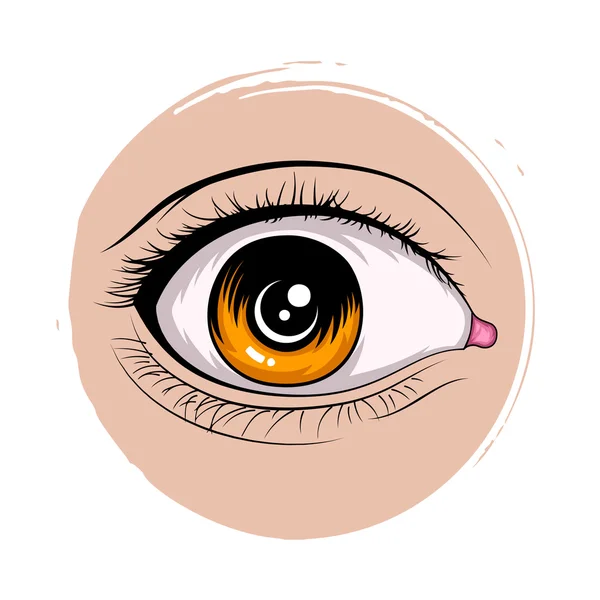 Conjunto de olhos femininos. Ilustração vetorial para design de glamour de saúde. Ícone ocular — Vetor de Stock