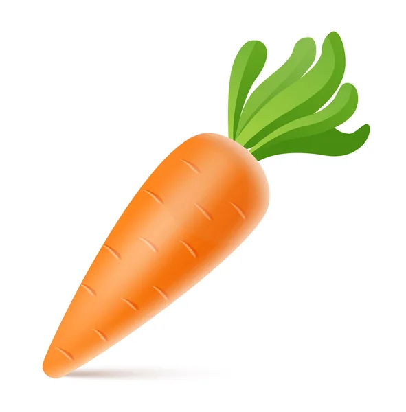 Изолированная морковь — стоковый вектор