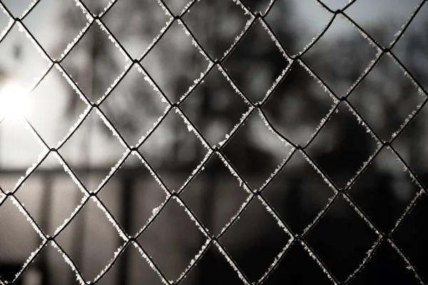 Malha de metal coberto com geada branca em um fundo escuro — Fotografia de Stock