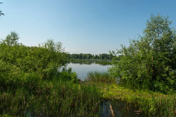 Een warme ochtend boven een rustig meer — Stockfoto