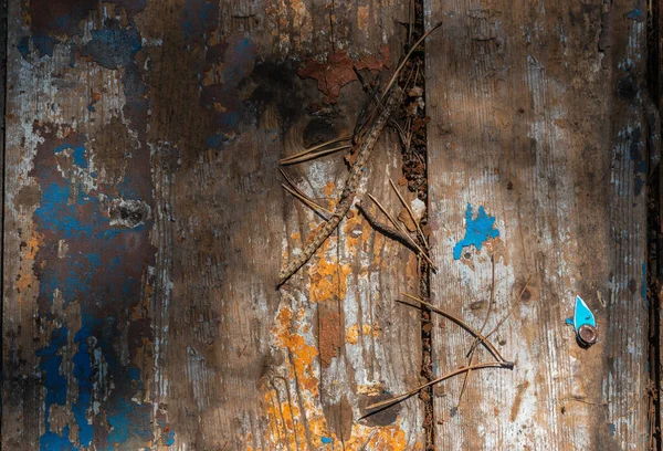 背景として松林の中の旧板 — ストック写真