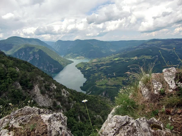Drina Banska duvarından görüntüleyin