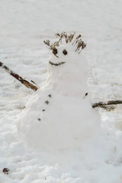 Bel Pupazzo Neve Con Bastoni Legno Come Braccia Viso Sorridente — Foto Stock