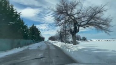 Güneşli bir günde, karlı bir yolda giderken, arabanın içinden ağaçlarla birlikte görüldü.