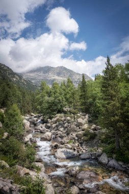 Yüksek dağ manzarası, Aiguestortes 'in doğal parkındaki Sant Nicolau nehri, Lleida, İspanya, dikey