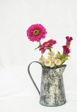 Beyaz arka planda, paslı metal bir kavanozun içinde beyaz yıldız çiçekleri ve kasımpatılarla yaşıyor.