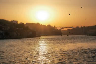 Dramatic golden sunset over the Douro River in Porto Portugal with the Arrabida Bridge silhouetted in the background The bright sun glares above the river and the flying seagulls, horizontal