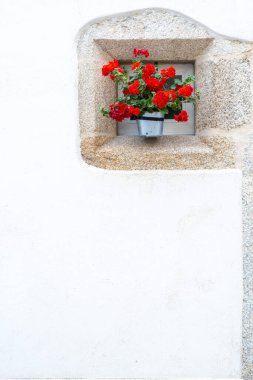 Küçük bir taş çerçeveli pencere, yeşil yapraklı bir kap kırmızı çiçek, beyaz bir cephede, kopyalama alanı, sardunyalar, Pelargonium, dikey