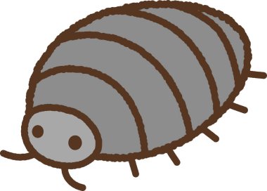 El çizimi yaratık tek simge illüstrasyonu: pillbug