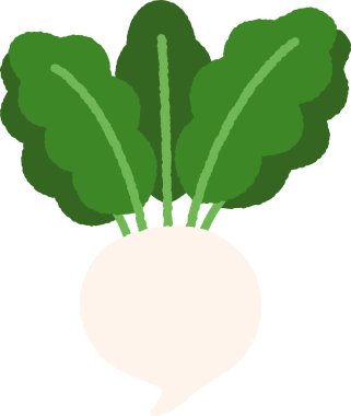 El çizimi tek resim Sebze Şalgam