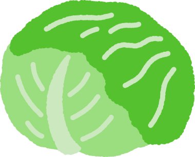 El çizimi tek resim Sebzeler Lahana