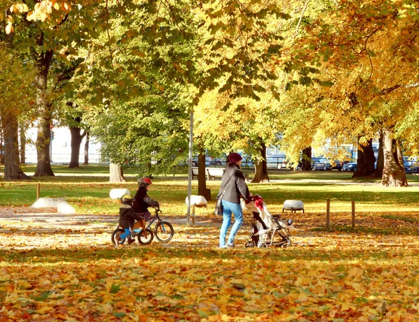 Tallinn. Famille dans le parc d'automne . — Photo