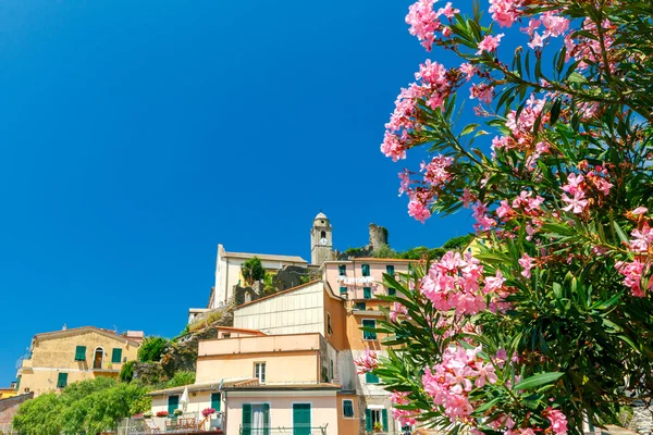 Vernazza. Vanha kylä värikkäitä taloja . — kuvapankkivalokuva