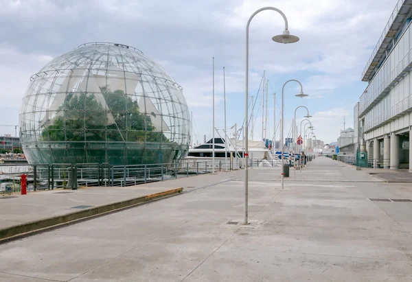 Genua. Glaskula med växten vid stadens vattnet. — Stockfoto