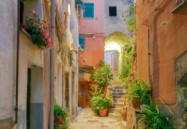 Vernazza. Gece eski sokak.