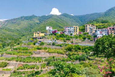 Corniglia. Şehrin havadan görünümü.