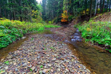 Karpatlar. Skole. Dağ nehri.