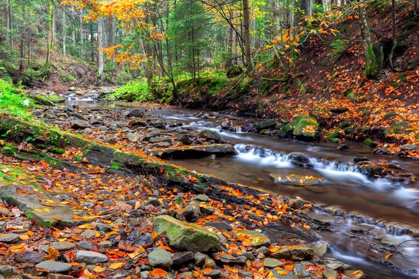 Carpates. Skole. Rivière de montagne. — Photo