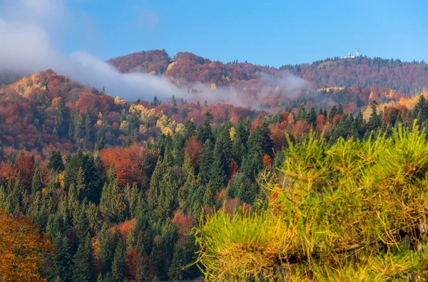 Karpaty. Podzimní barevný les. — Stock fotografie