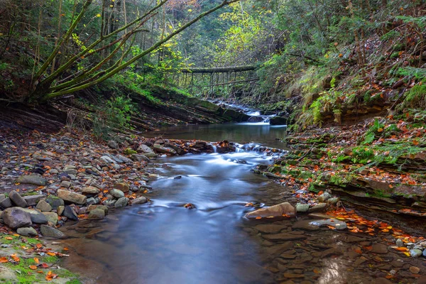 Carpates. Skole. Rivière de montagne. — Photo