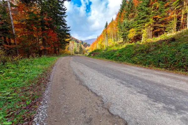 Karpatlar. Sonbahar renkli orman.
