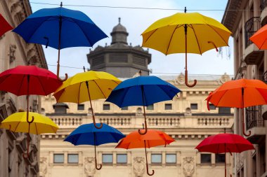 Lviv. Caddenin karşısında çok renkli şemsiyeler..