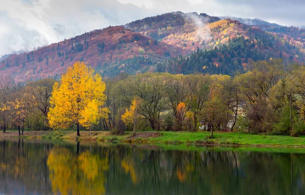 Карпаты. Живописное озеро осенью. — стоковое фото