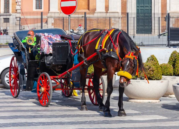 Horse Drawn Tourist Carriage Historic Center Rome Italy — Stock Photo, Image