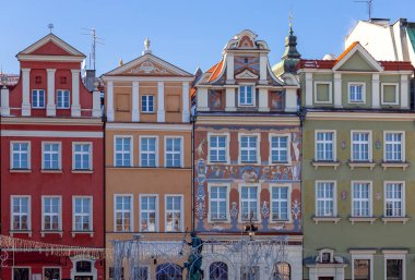 Poznan. Güneşli bir günde pazar meydanı.