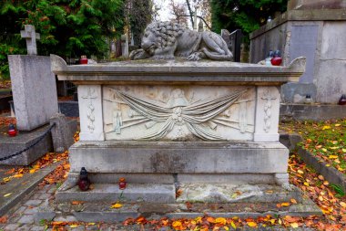 Lviv. Sonbaharda eski kasaba Lychakiv mezarlığı.