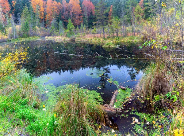 Mrtvé Horské Jezero Karpatských Horách Ukrajina — Stock fotografie