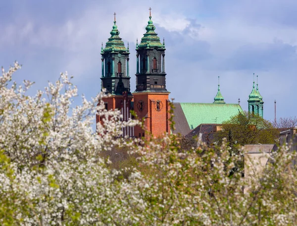 Poznan. Catedral na Ilha Tumskiy em um dia ensolarado de primavera. — Fotografia de Stock