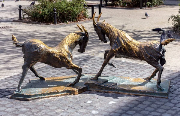 Познань. Скульптура из двух металлических коз. Символ старого города. — стоковое фото