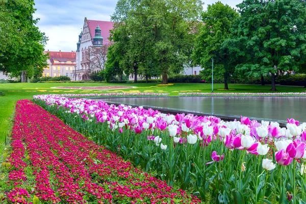 Poznan. City Park named after Adam Mickiewicz at sunset. — Stock Photo, Image